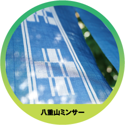 八重山ミンサー